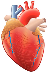 Ischemic Heart Disease