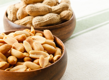Introducing Infants to Peanuts can build Allergy Resistance