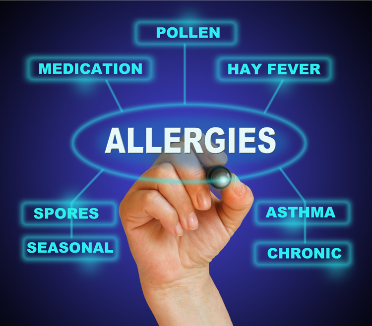 Documenting Patient Allergies in the Electronic Health Record