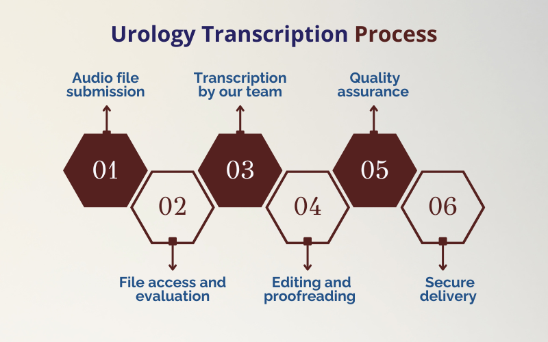 Our Urology Transcription Process