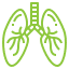 pulmonary transcription