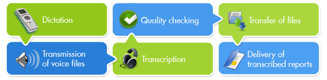 Medical Transcription Process 