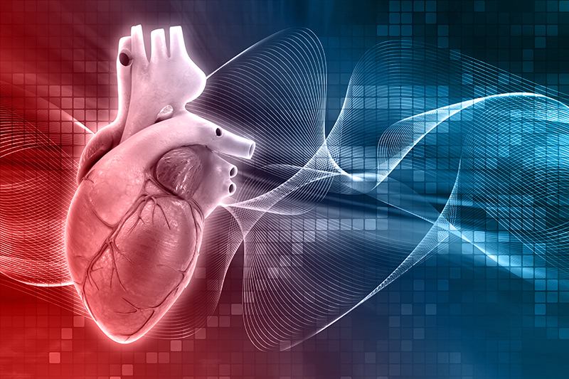 Cardiology Transcription