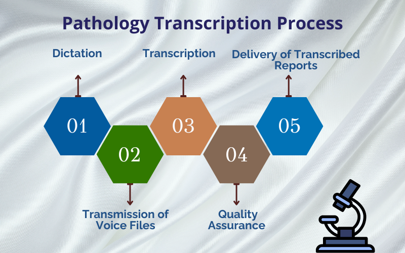 Pathology Transcription Process